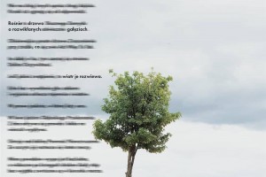 ŚWIĘTO POEZJI